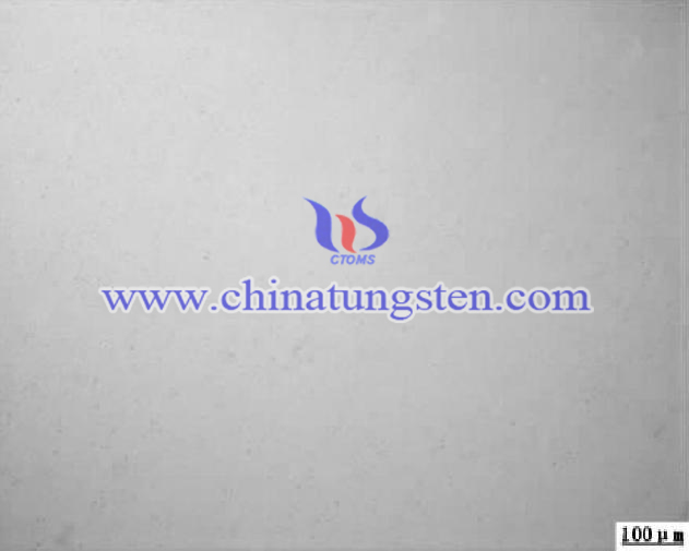 Tungsten Carbide Rod Picture